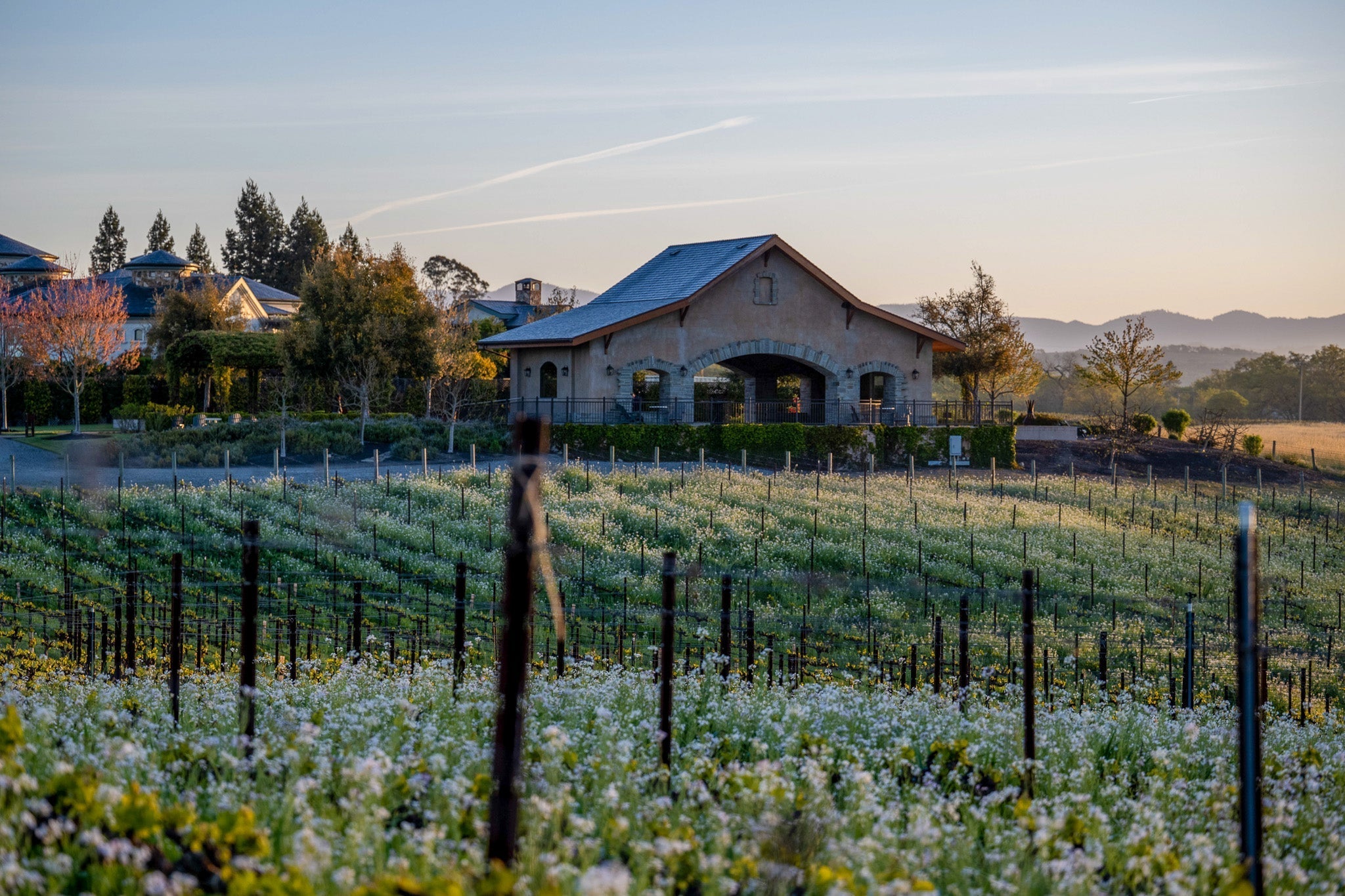 Pour + Explore: Alexander Valley, Dry Creek Valley, Russian River Valley