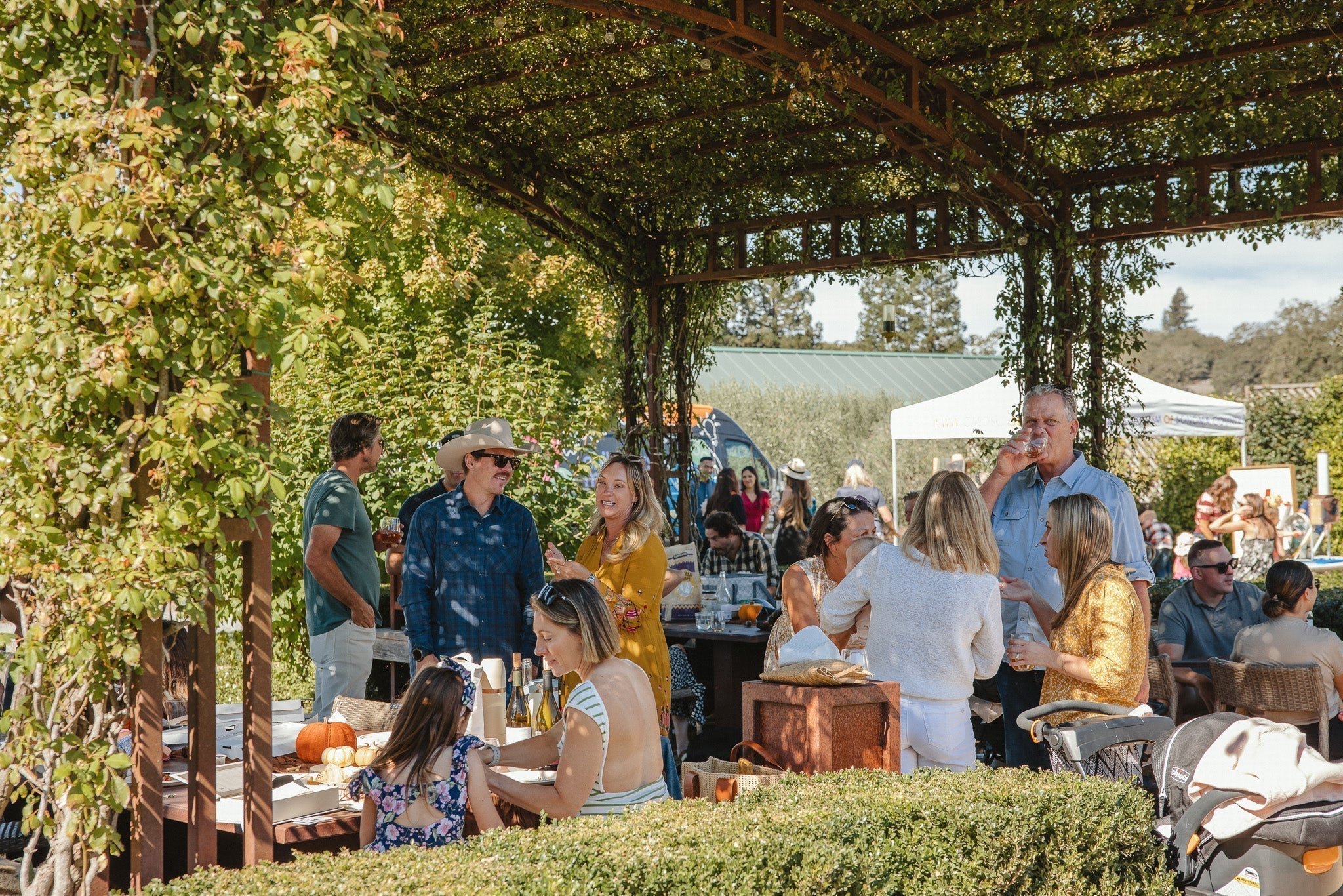 Harvest Party | 2025