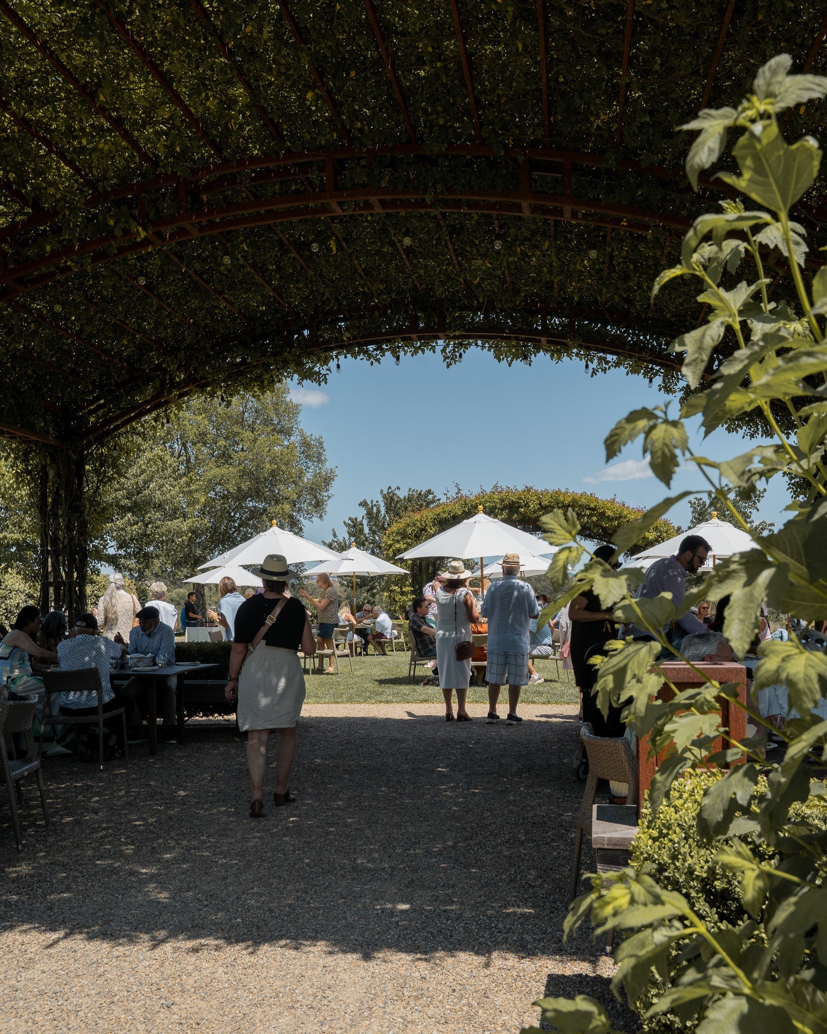 Summer Wine Club Pickup Party | Day 2 Afternoon