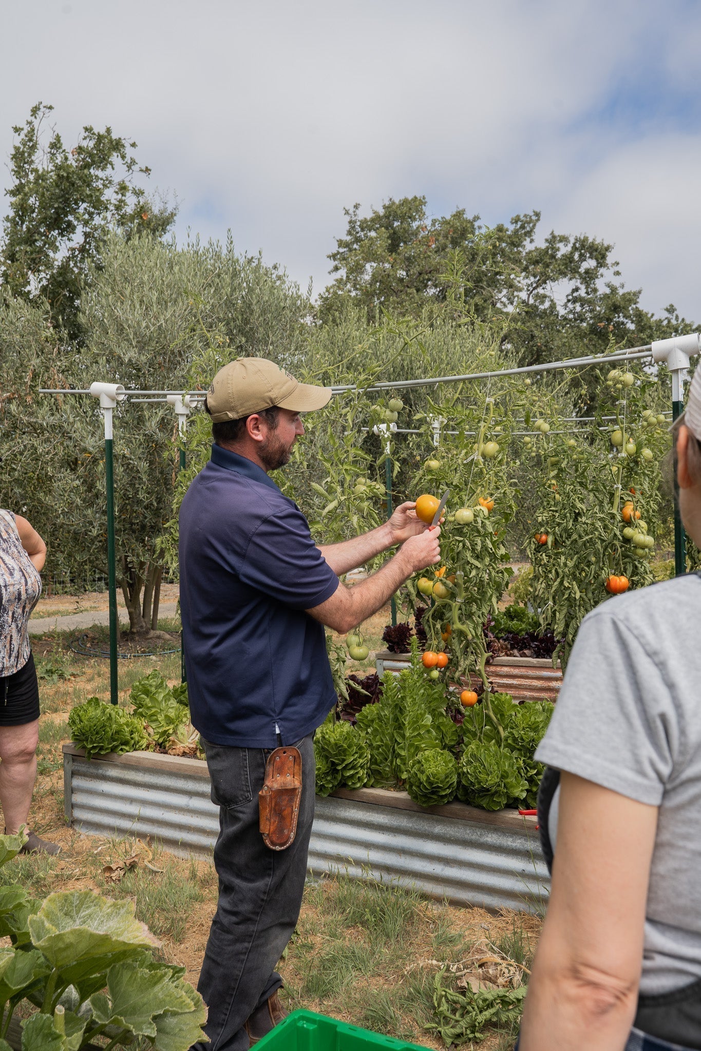Garden Class with Farmer Mikey - Harvest