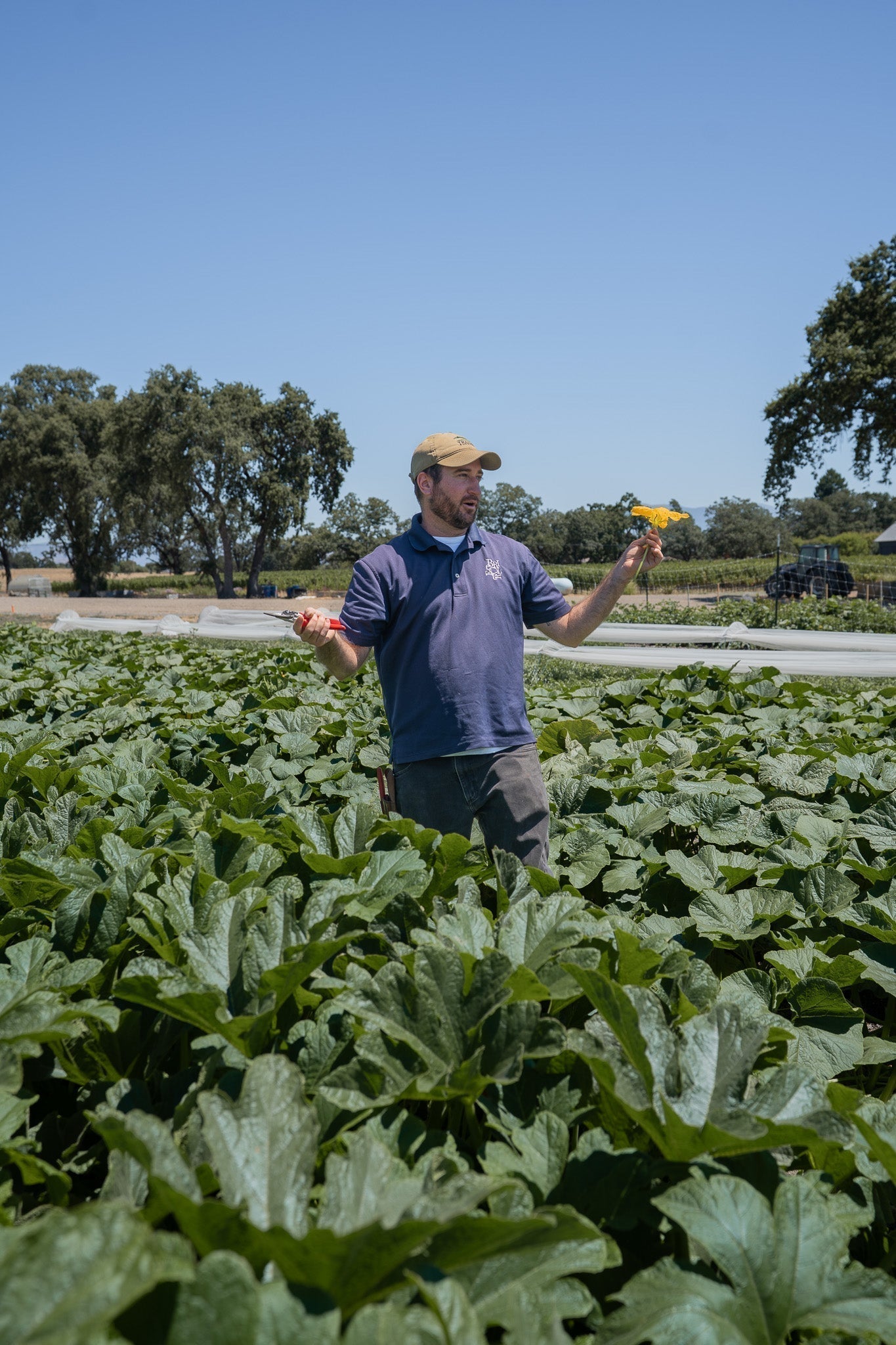 Garden Class with Farmer Mikey - Seed Saving