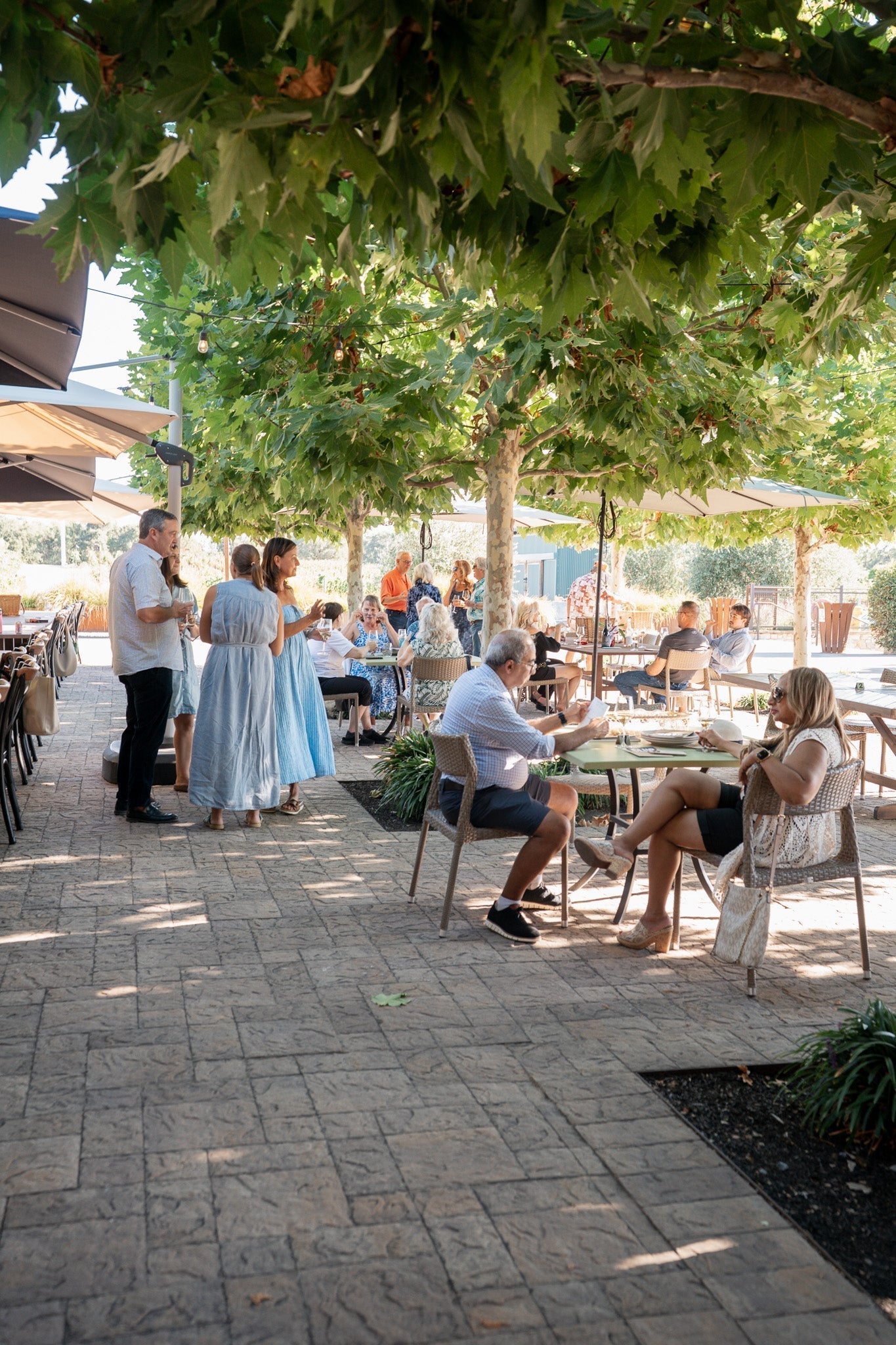 August Family Night with Bricoleur