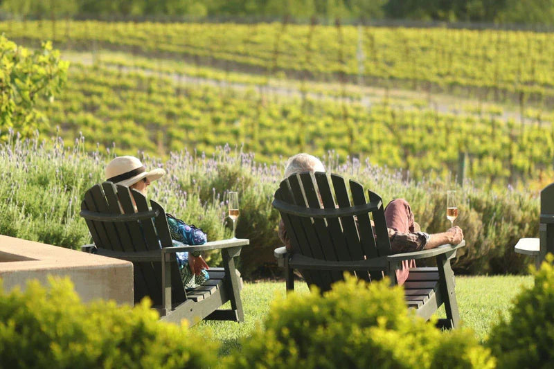 Guide to Sonoma Wineries with Great Views