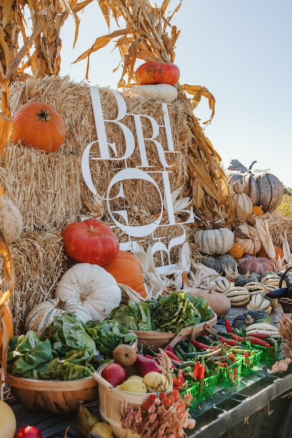 8th Annual Harvest Party