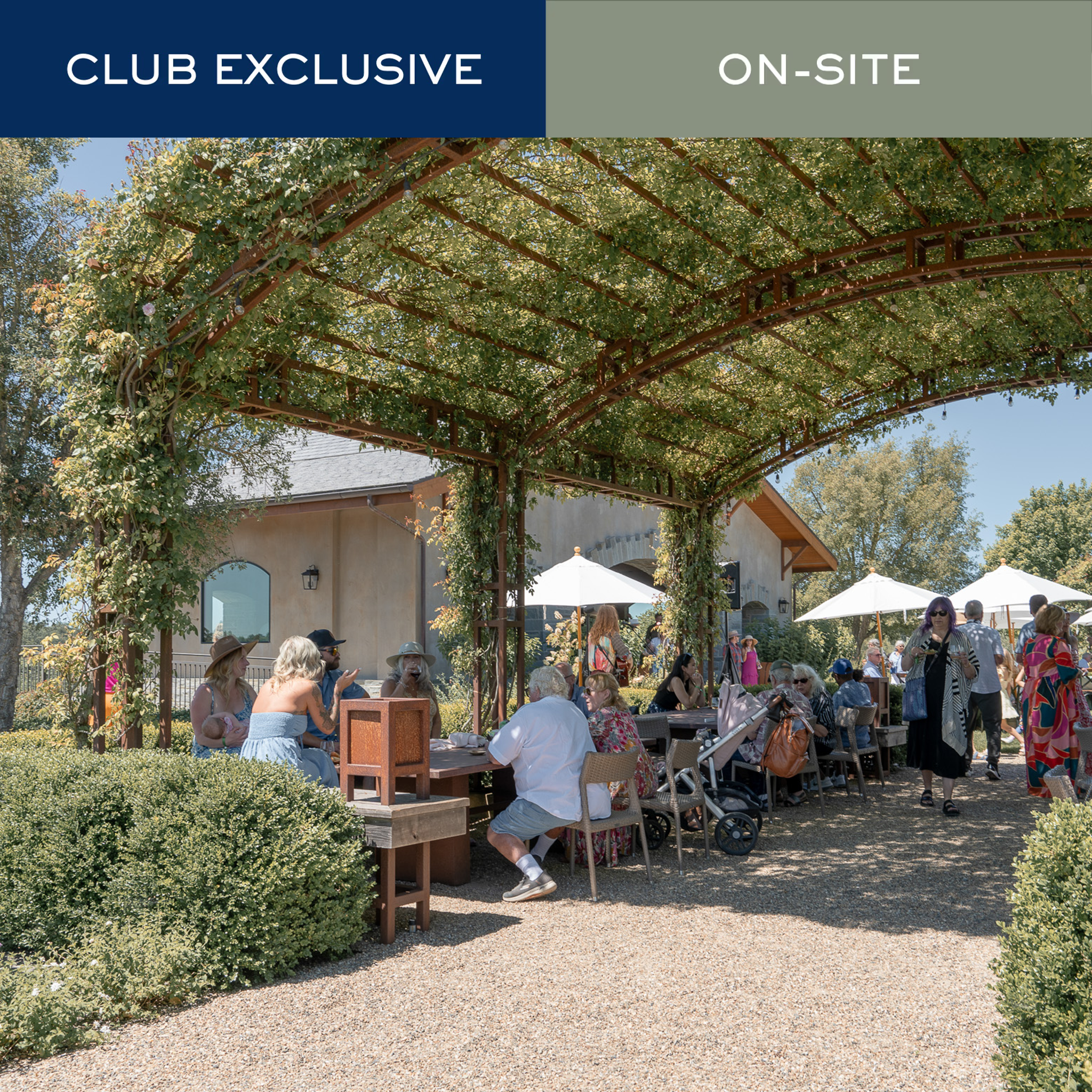 Club Pick Up Party
