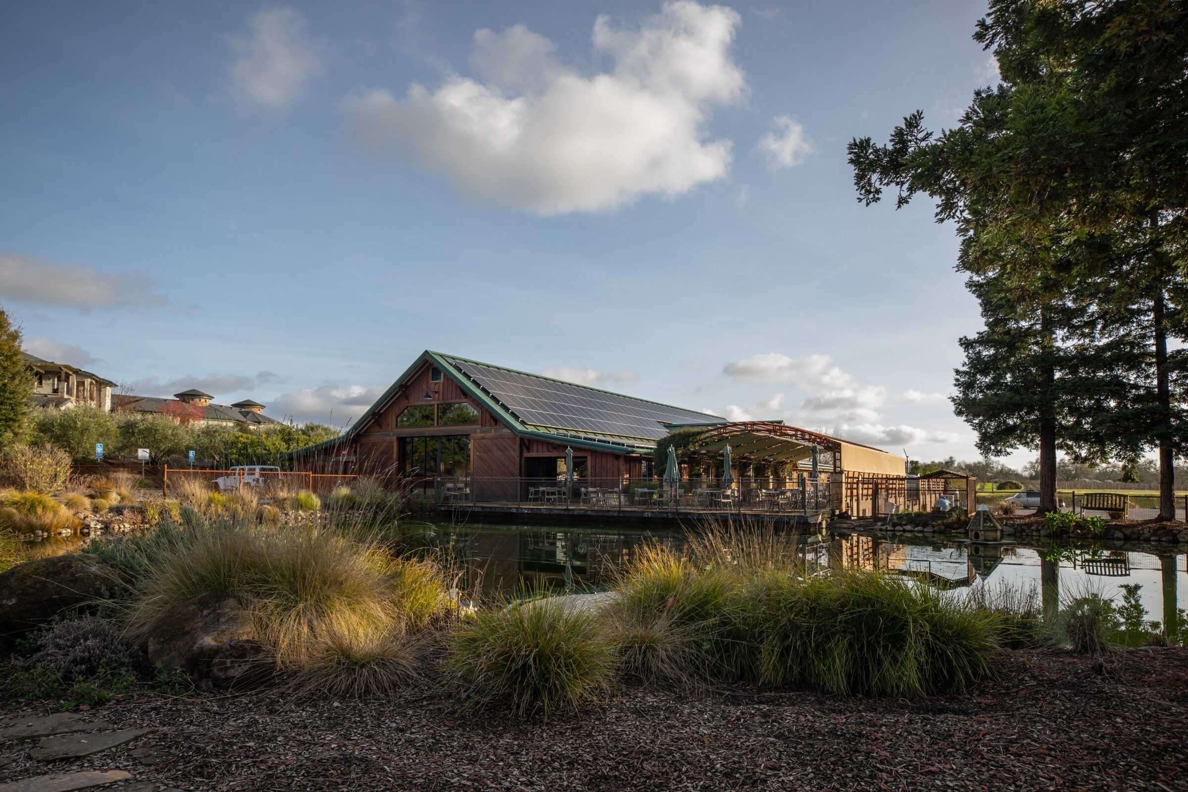 Ultimate Guide to Windsor CA Wineries