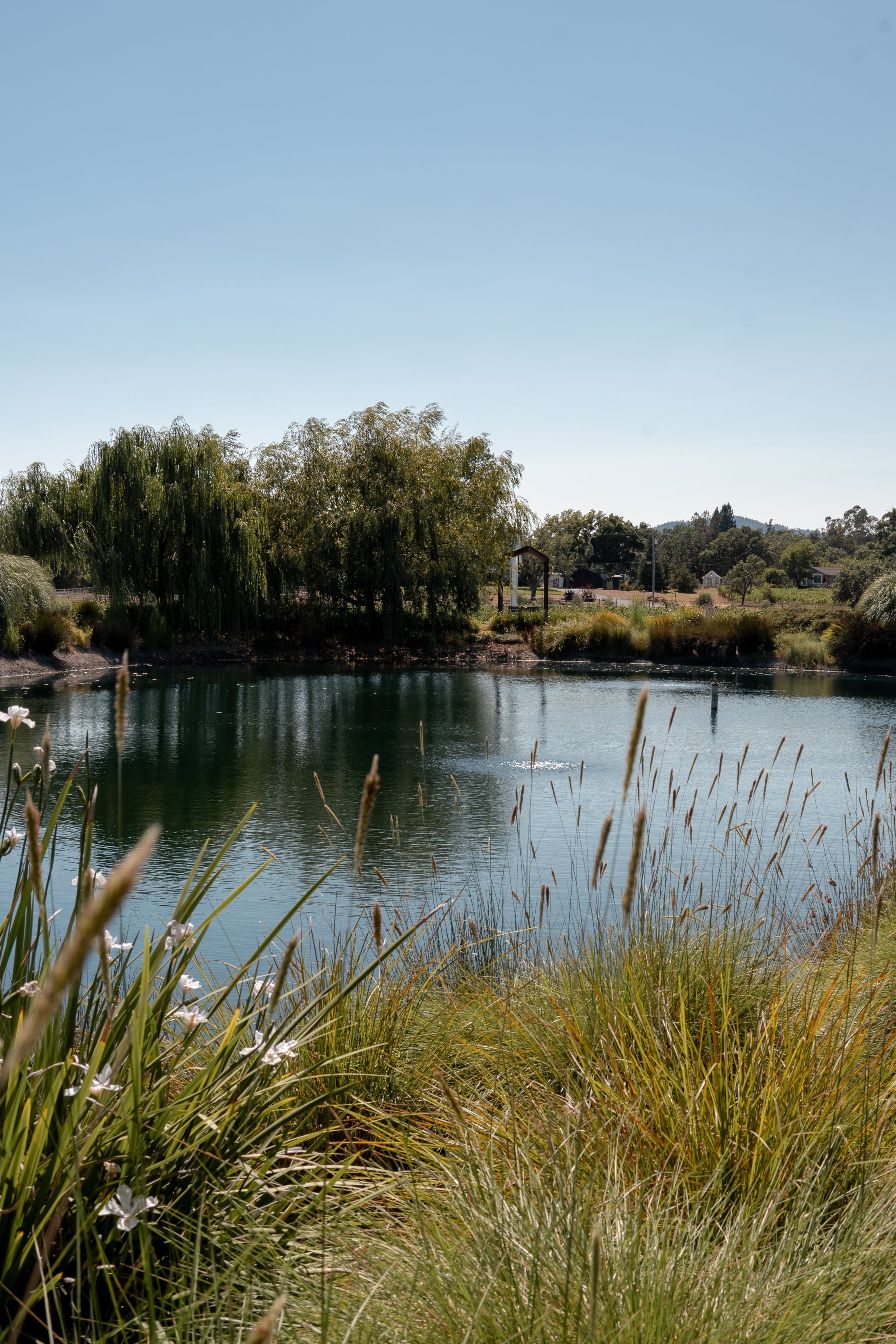 Pour + Explore: Petaluma Gap, West Sonoma Coast