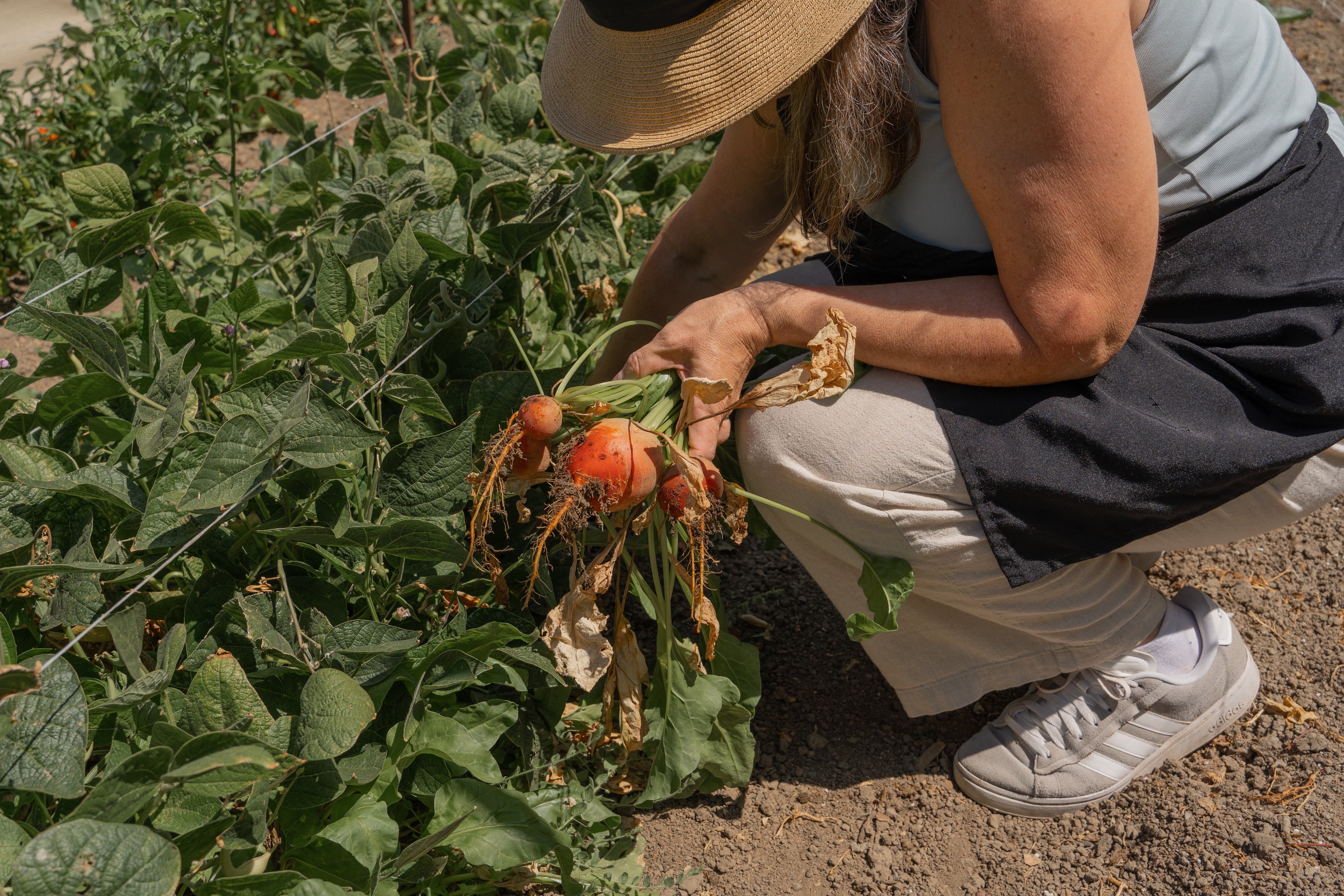 Garden Summer Harvest Class with Farmer Mikey