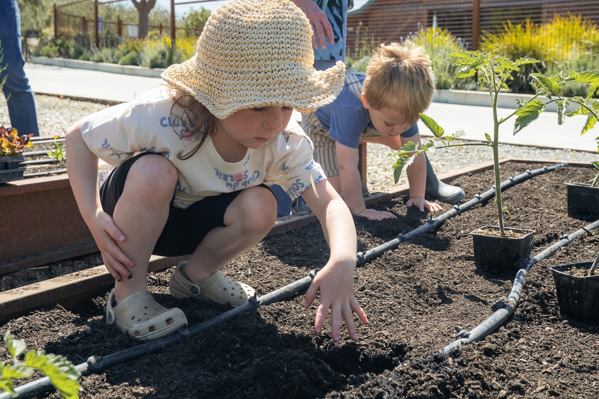 Family Garden Day with Farmer Mikey