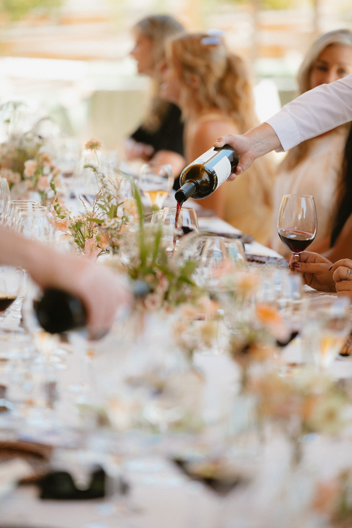 An Afternoon with Christy Lynn at Appellation Healdsburg