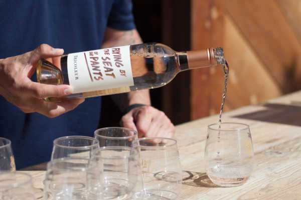 1st Annual Harvest Party Highlights