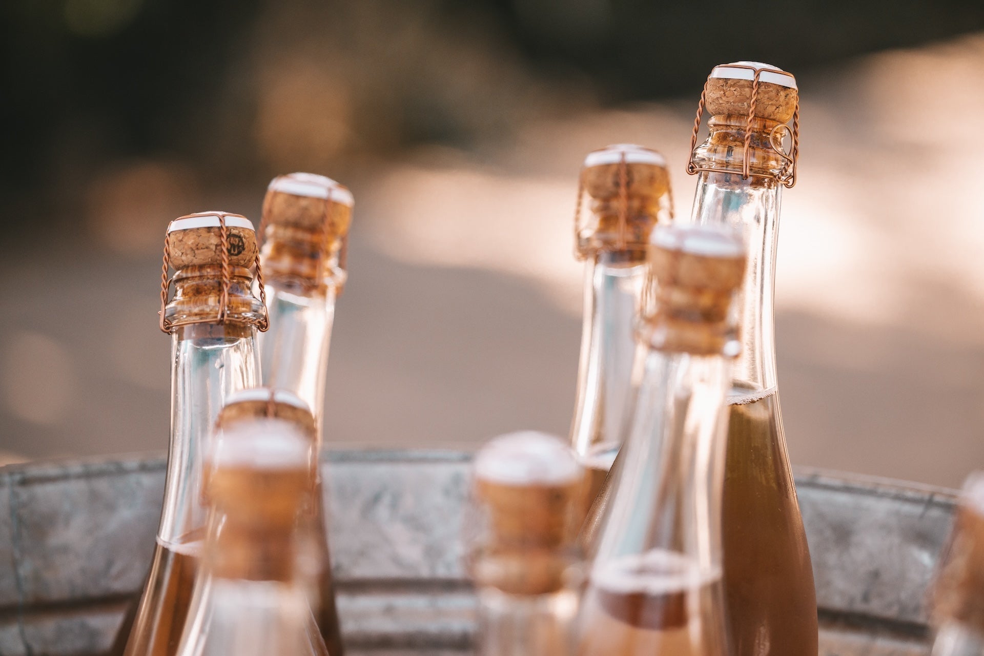 Wine Road's 50th Anniversary Grand Tasting