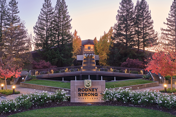 Pour + Explore: Bordeaux Varietals