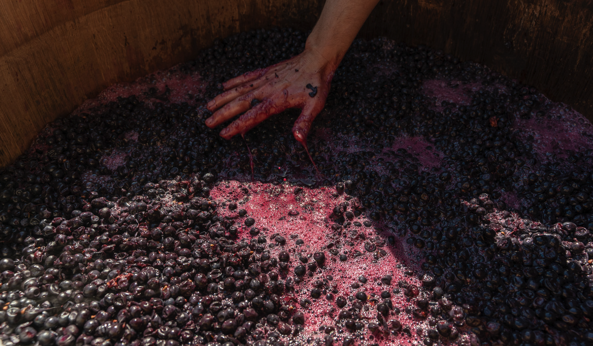 How to Find Exceptional Value in Sonoma County Wine — Starting at Bricoleur Vineyards
