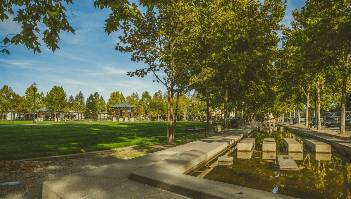The 8 Best Restaurants in Windsor, CA