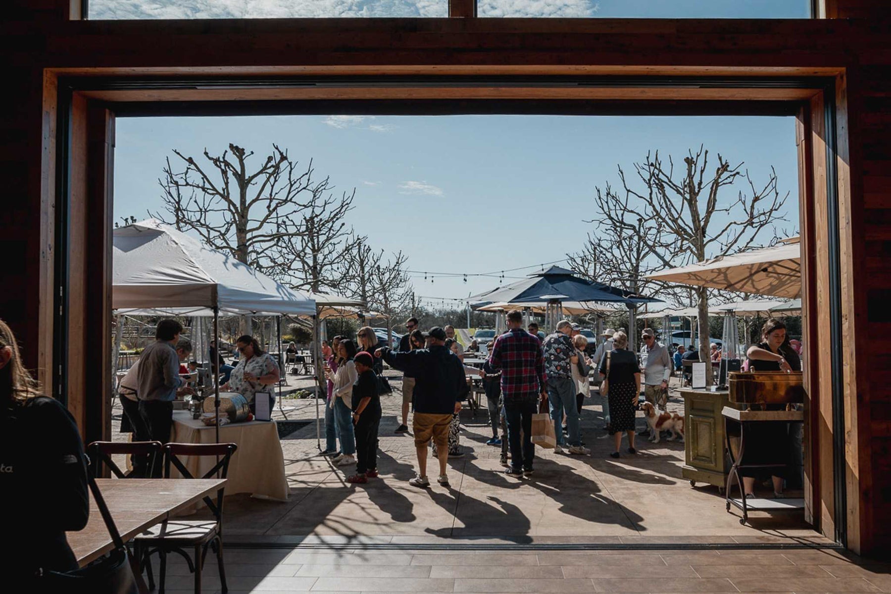 Winter Wine Club Pick-Up Party