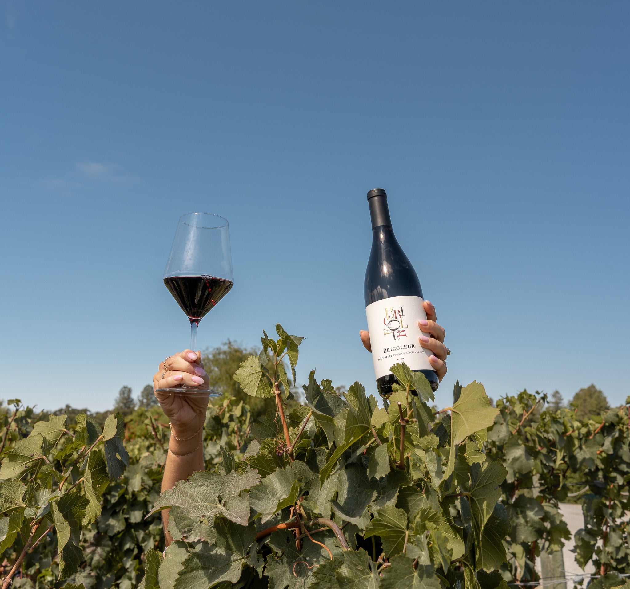 Shop Sonoma County Wines | Bricoleur Vineyards